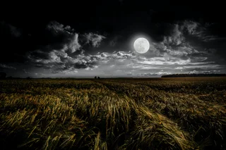 Moon in the sky